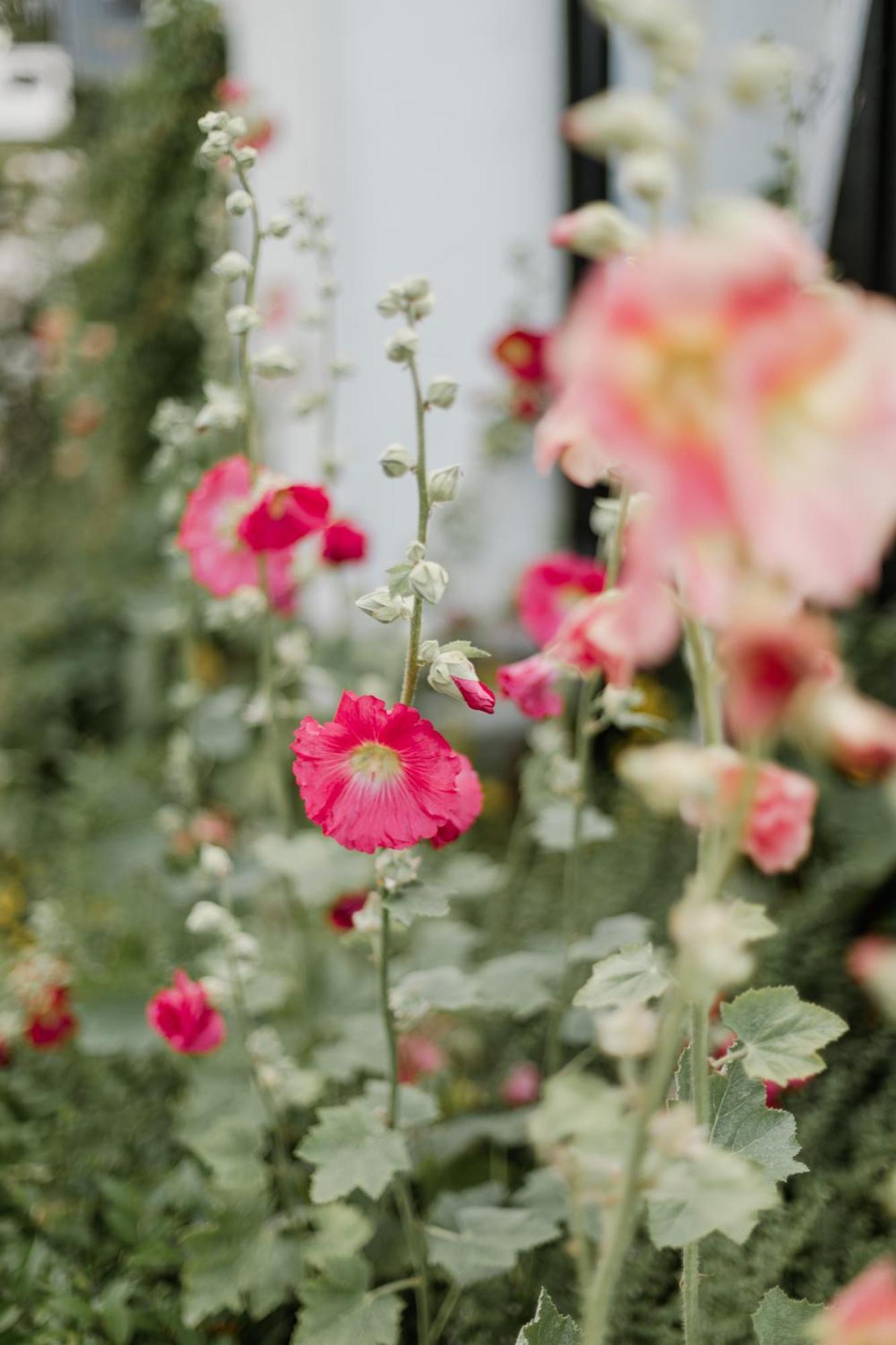 심리스함 Skoellengarden B&B 외부 사진